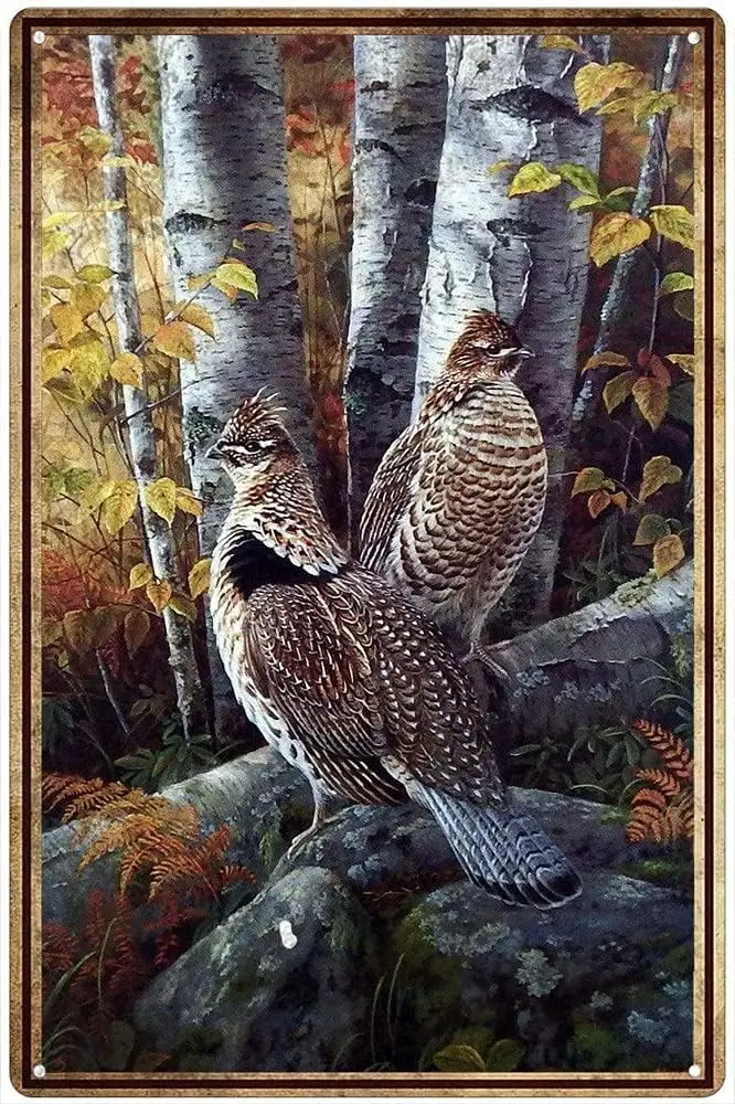 Vintage Metal Sign Grouse Ruff - Home Office Bathroom review and price